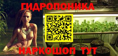mdpv Гатчина