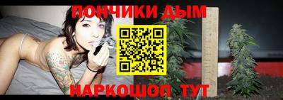 mdpv Гатчина