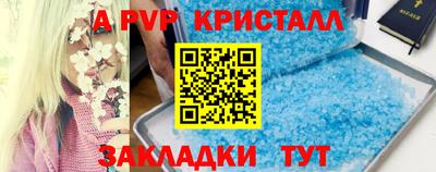 mdpv Гатчина